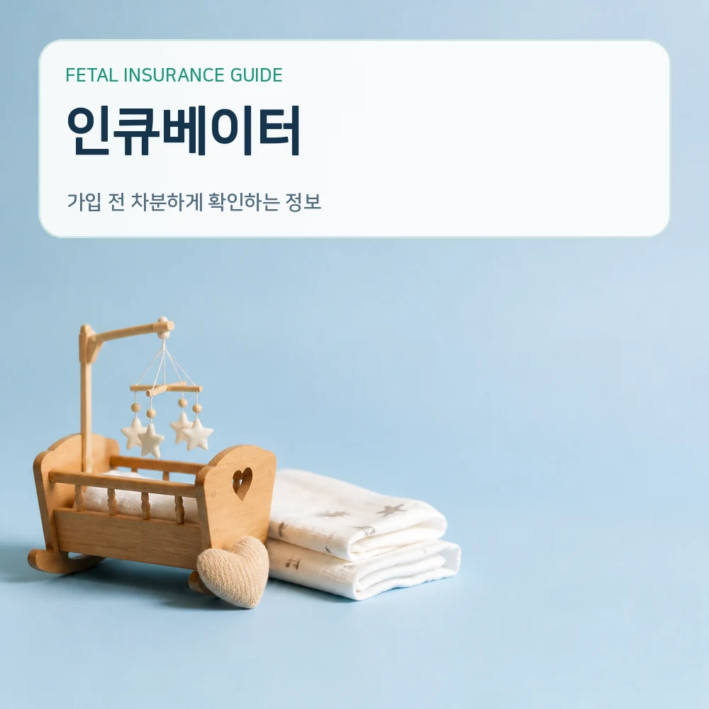 태아보험인큐베이터